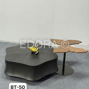 Bàn ăn gỗ cánh bướm BT-50